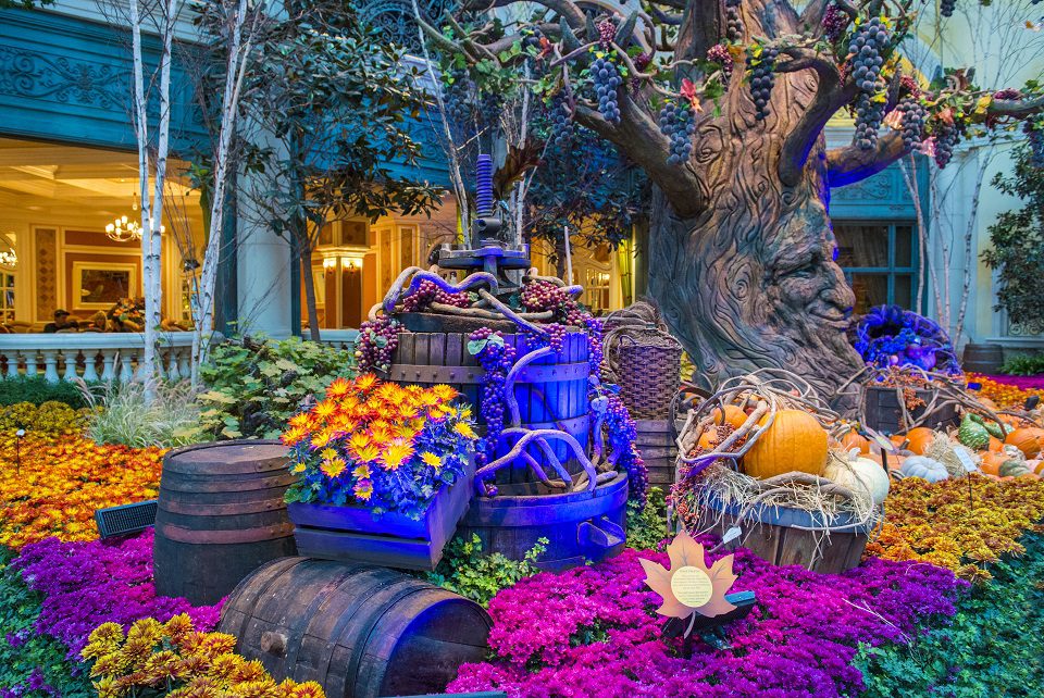 Best places to visit - Bellagio Hotel Conservatory & Botanical Gardens